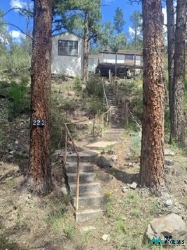222 Paradise Canyon Dr, Ruidoso, NM 88345 - #1
