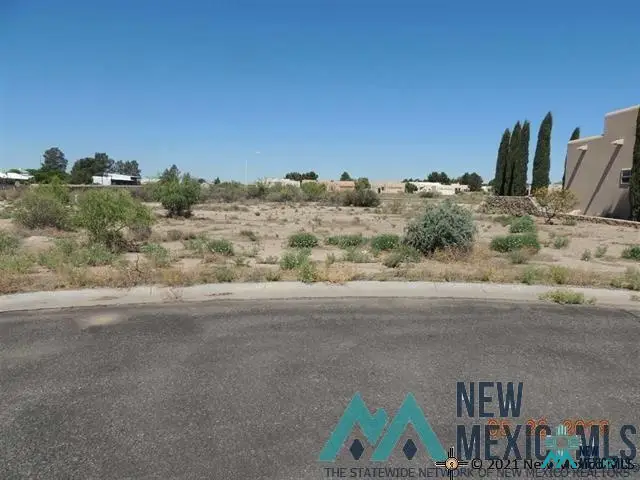 0 S Slice Rd, Deming, NM 88030 - #2