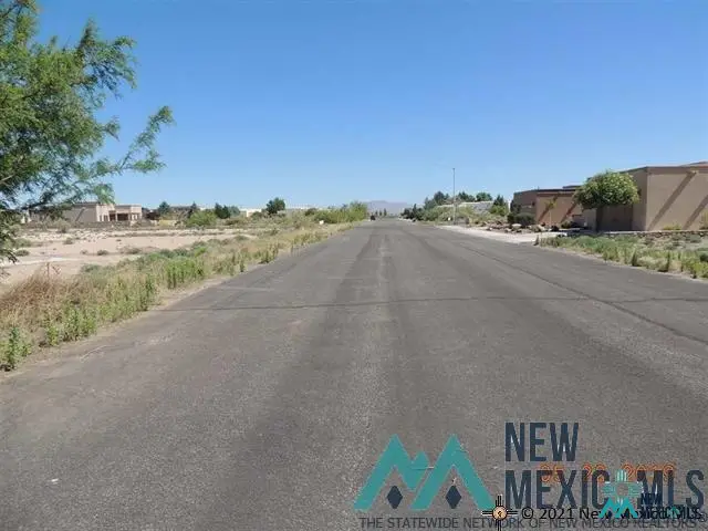 0 S Slice Rd, Deming, NM 88030 - #3
