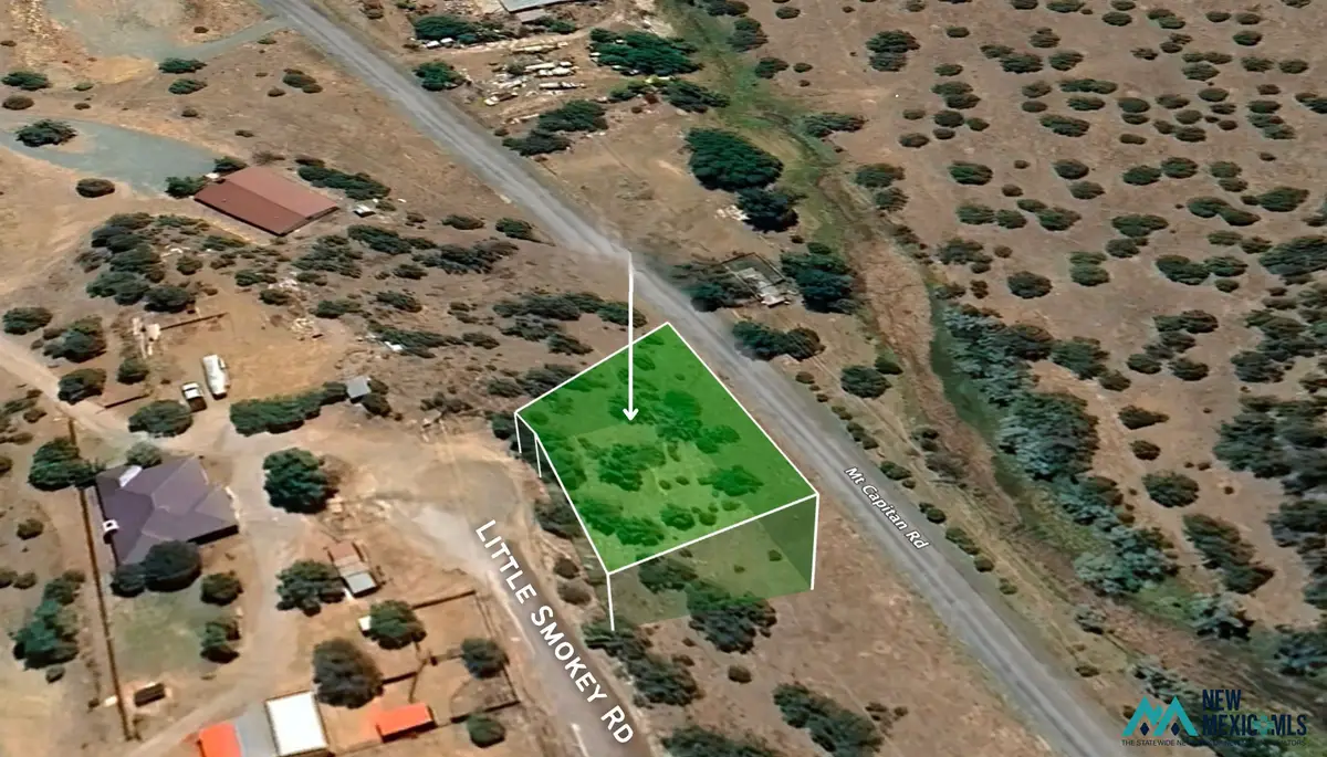 560 Little Smokey Rd, Capitan, NM 88316 - #1