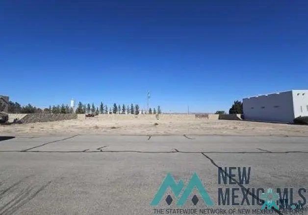 2889 E Water Hazard Dr, Deming, NM 88030 - #3