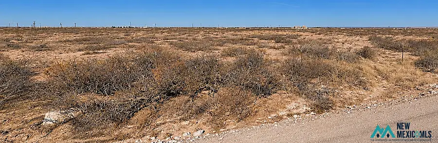 1111 Dayton Rd, Artesia, NM 88210 - #3