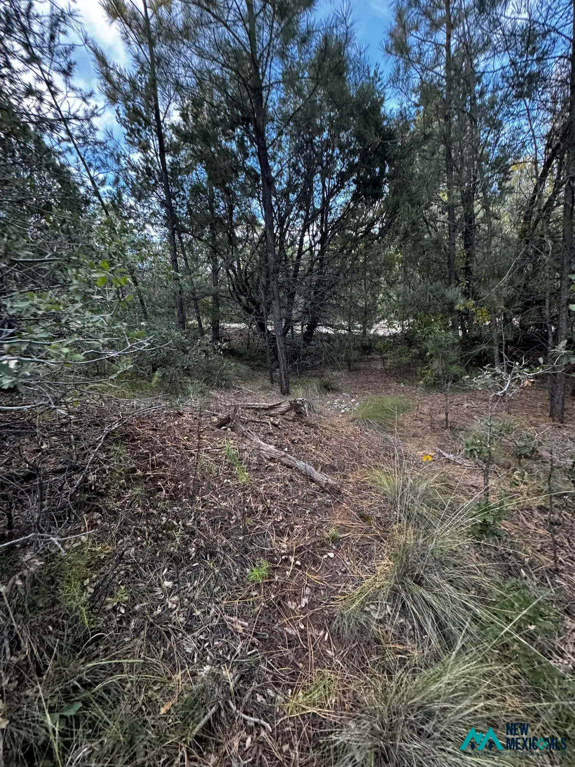 45 Huff Ave, Timberon, NM 88350 - #1