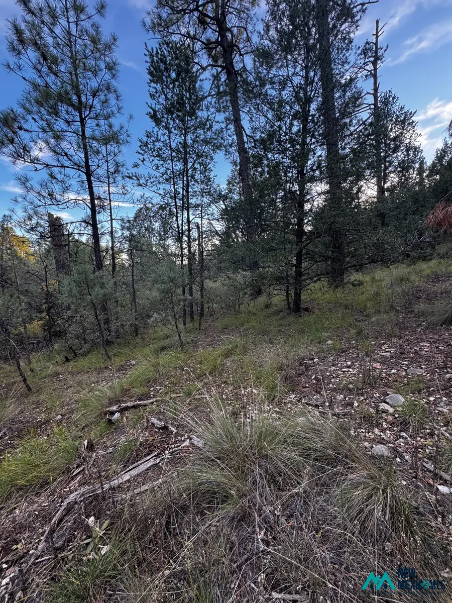 45 Huff Ave, Timberon, NM 88350 - #2