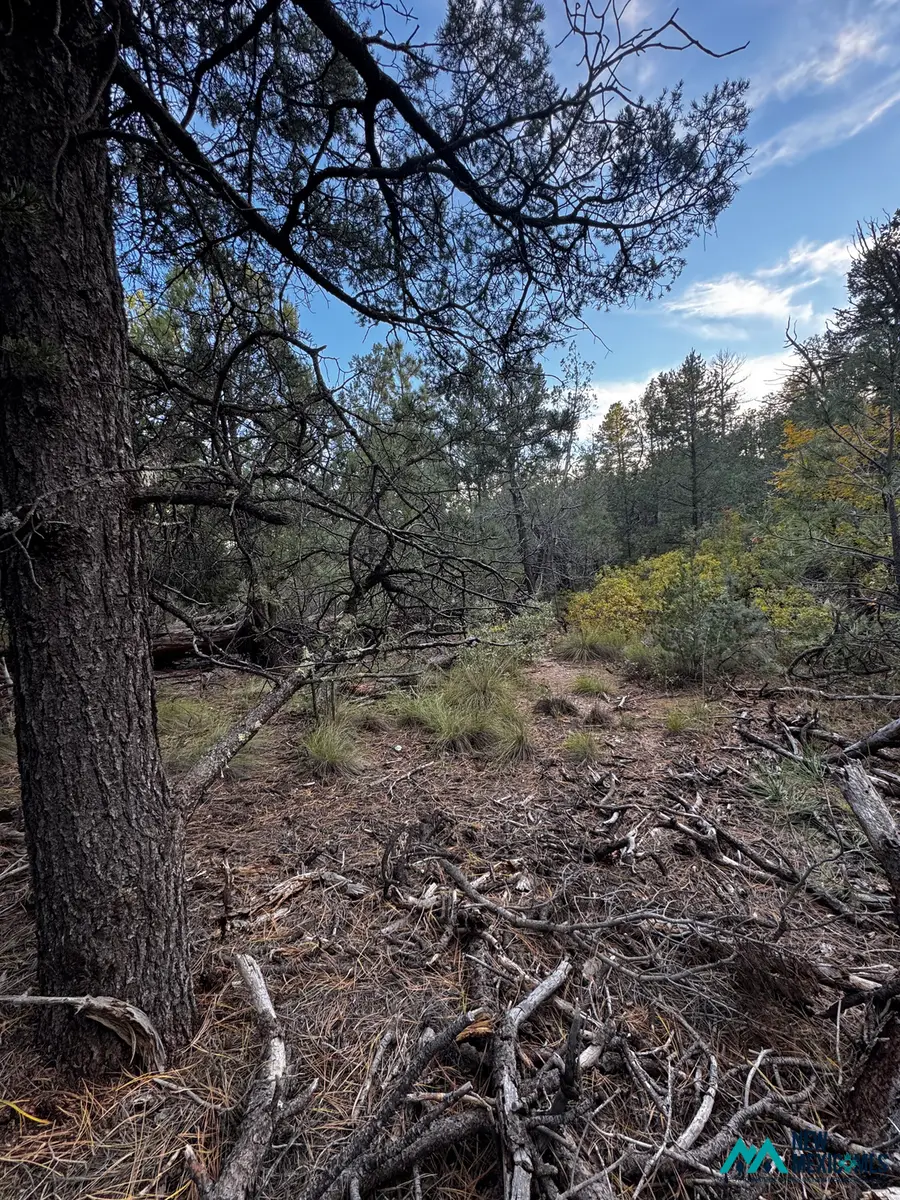 45 Huff Ave, Timberon, NM 88350 - #3
