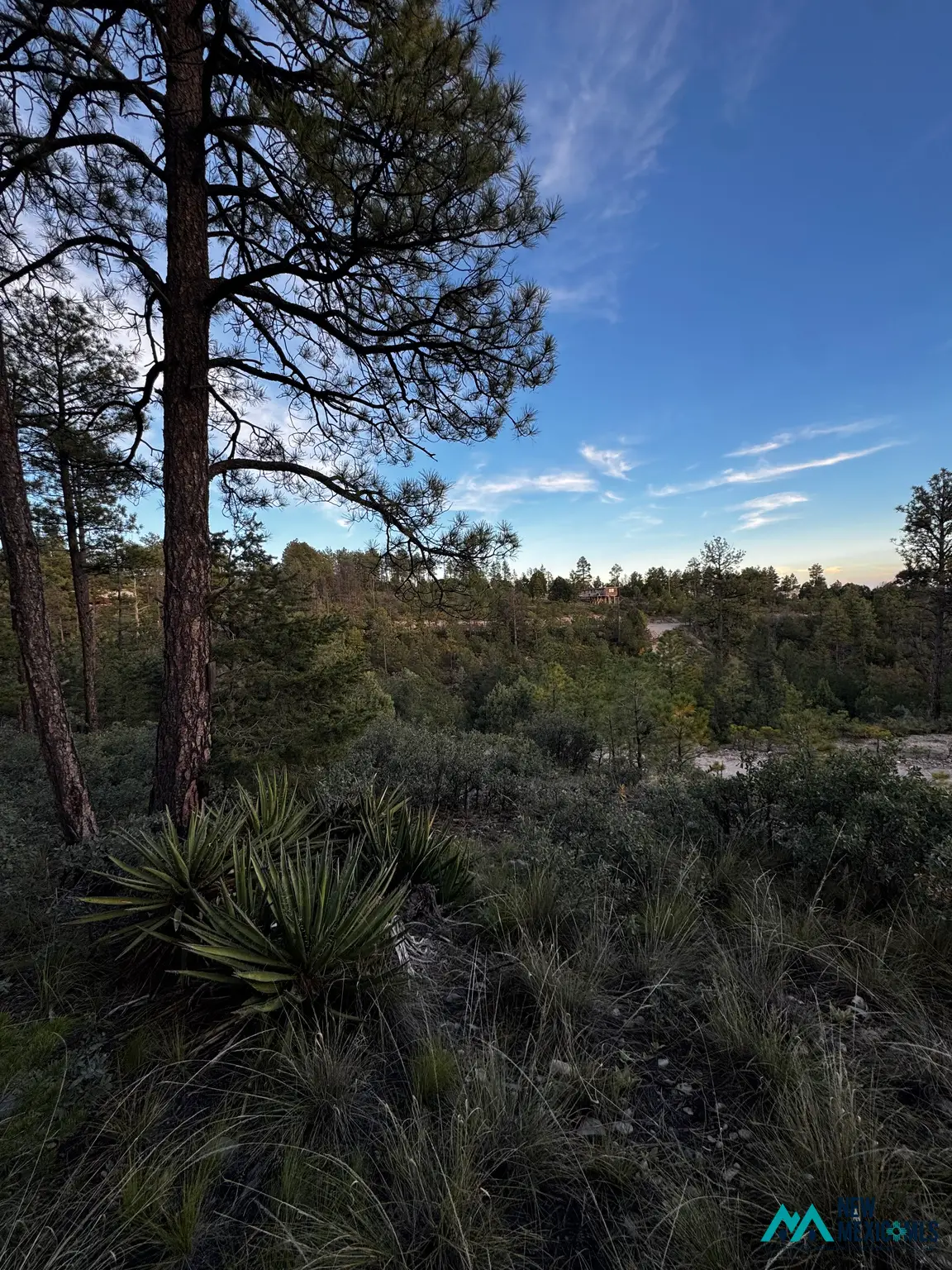 16 Gemini Rd, Timberon, NM 88350 - #1