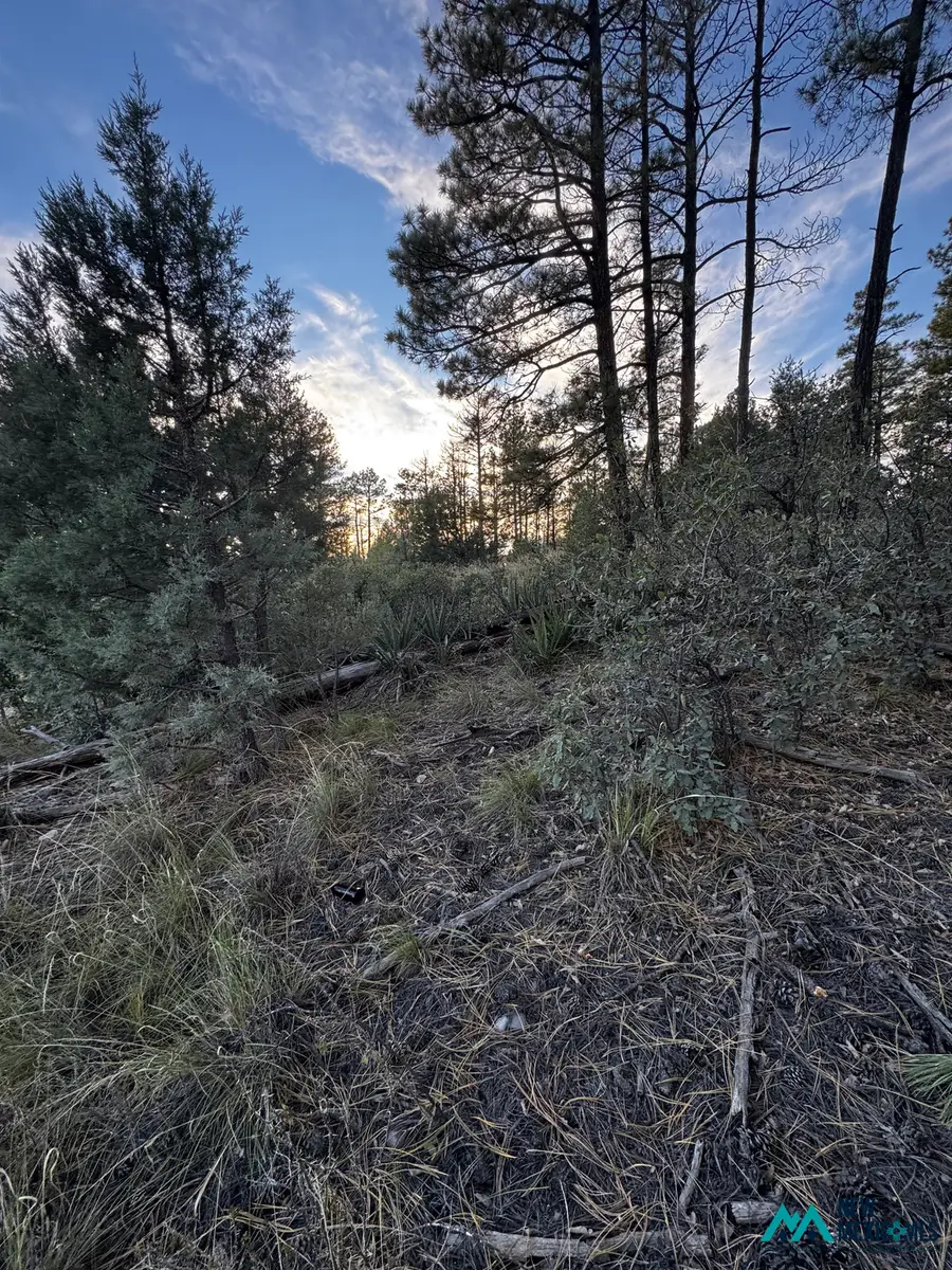 16 Gemini Rd, Timberon, NM 88350 - #2