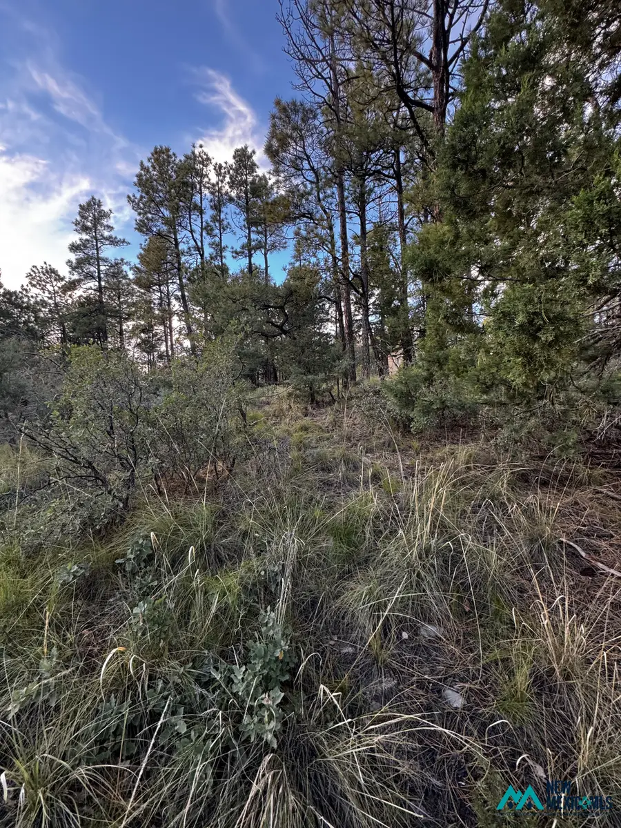 16 Gemini Rd, Timberon, NM 88350 - #3