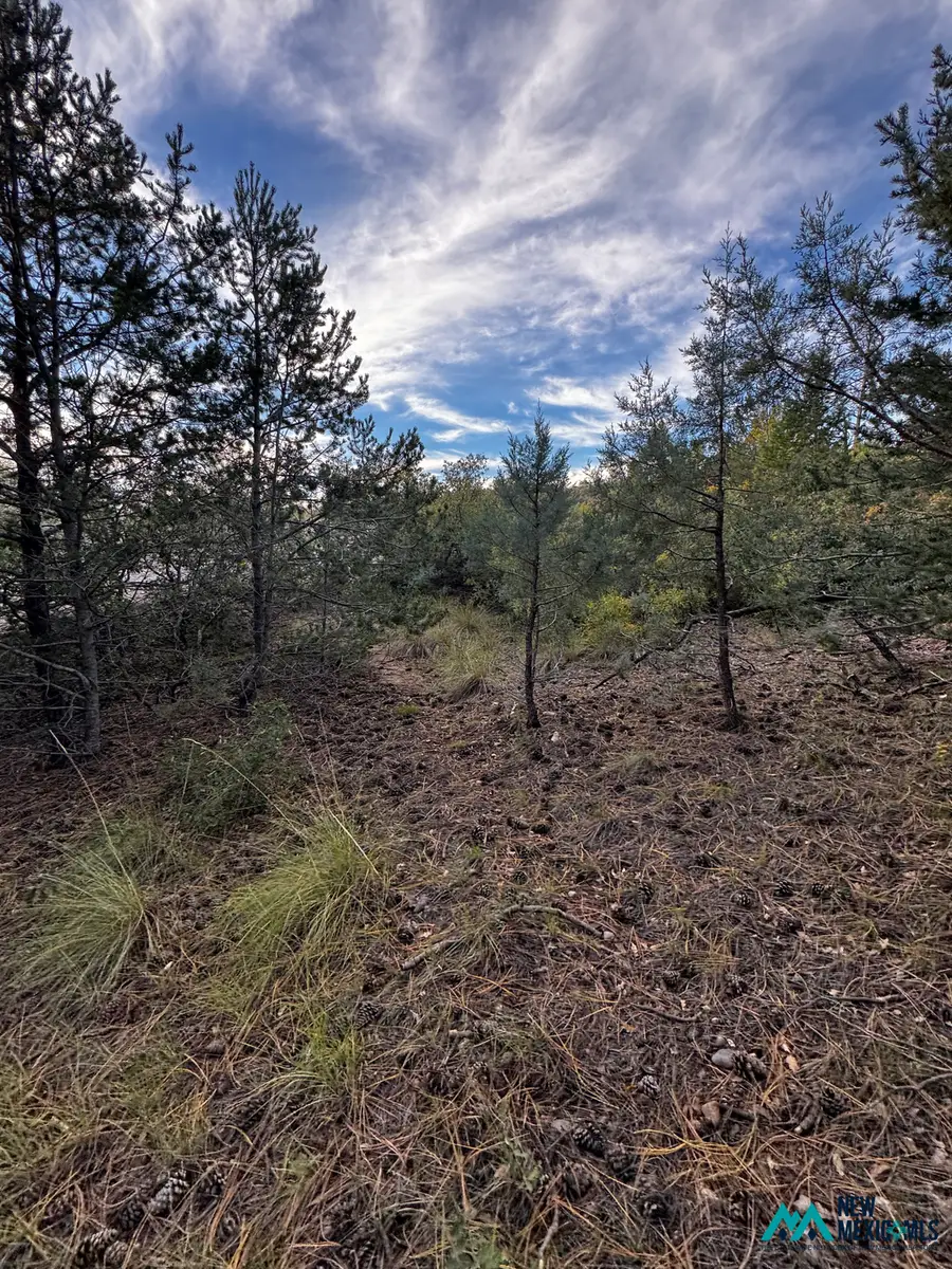 37 Huff Ave, Cloudcroft, NM 88350 - #2