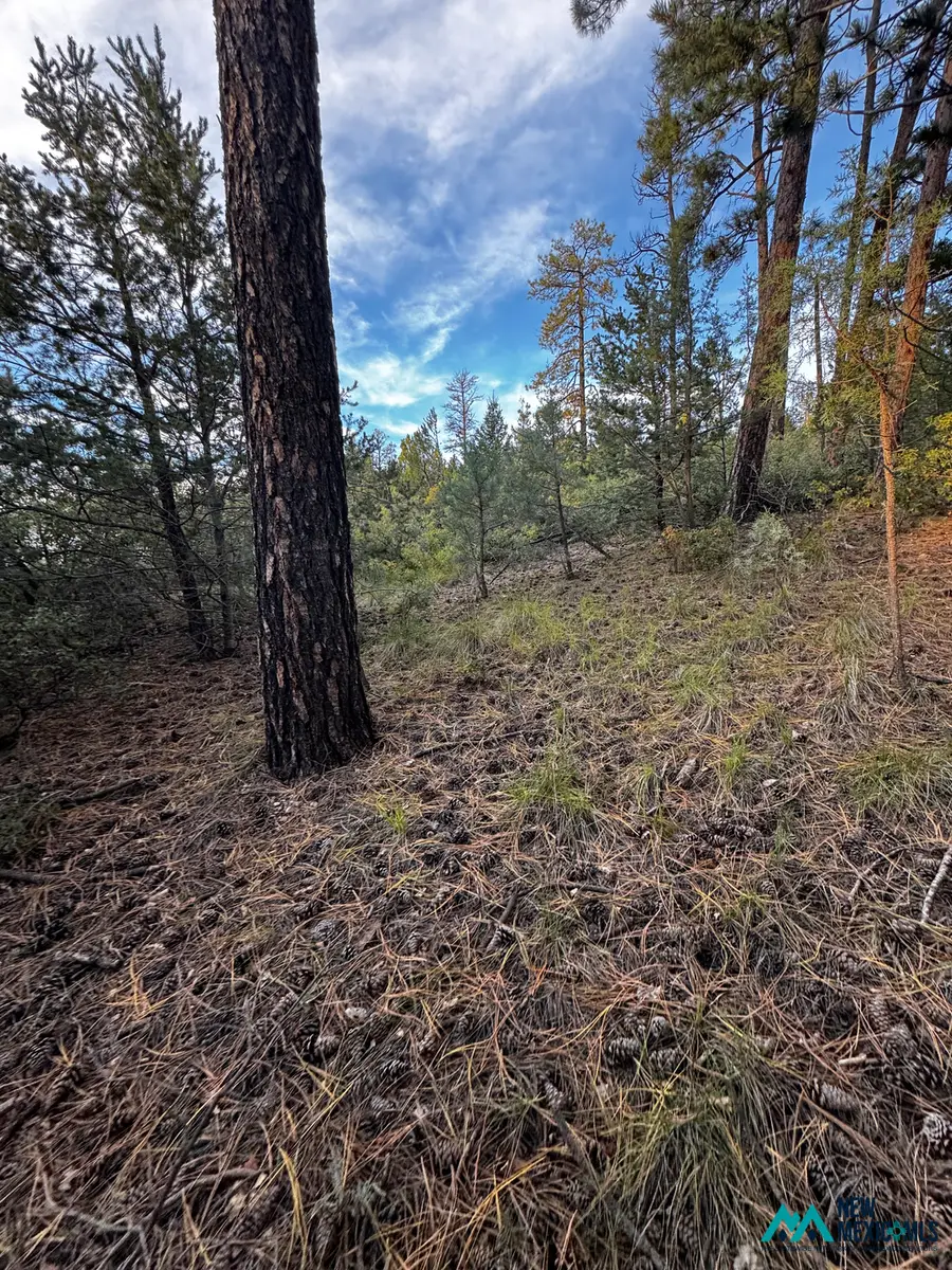 37 Huff Ave, Cloudcroft, NM 88350 - #3