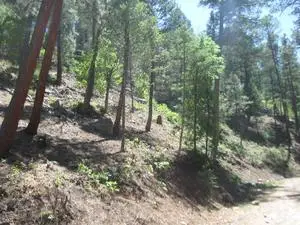 211 Camelot Drive, Ruidoso, NM 88345