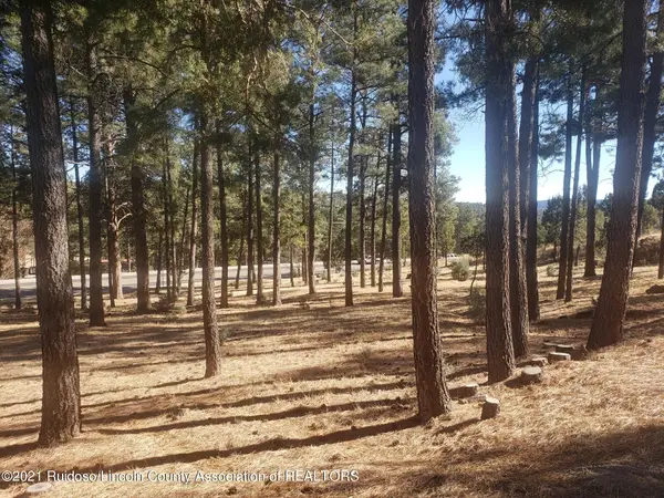 1119 Mechem Drive, Ruidoso, NM 88345