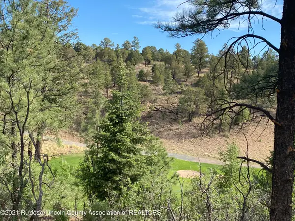 L29D Walter Hagan Drive, Alto, NM 88312