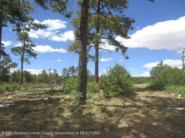 280 Indian Divide Road, Capitan, NM 88316