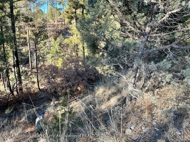 L15-16 Miles Loop, Timberon, NM 88350 - #1