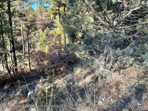 L15-16 Miles Loop, , NM 88350