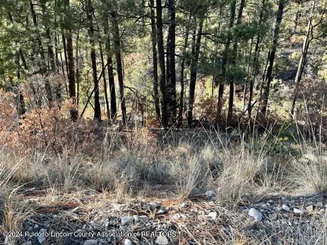 L15-16 Miles Loop, Timberon, NM 88350 - #2