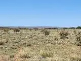 262 Fenceline, Carrizozo, NM 88301 - Image #3