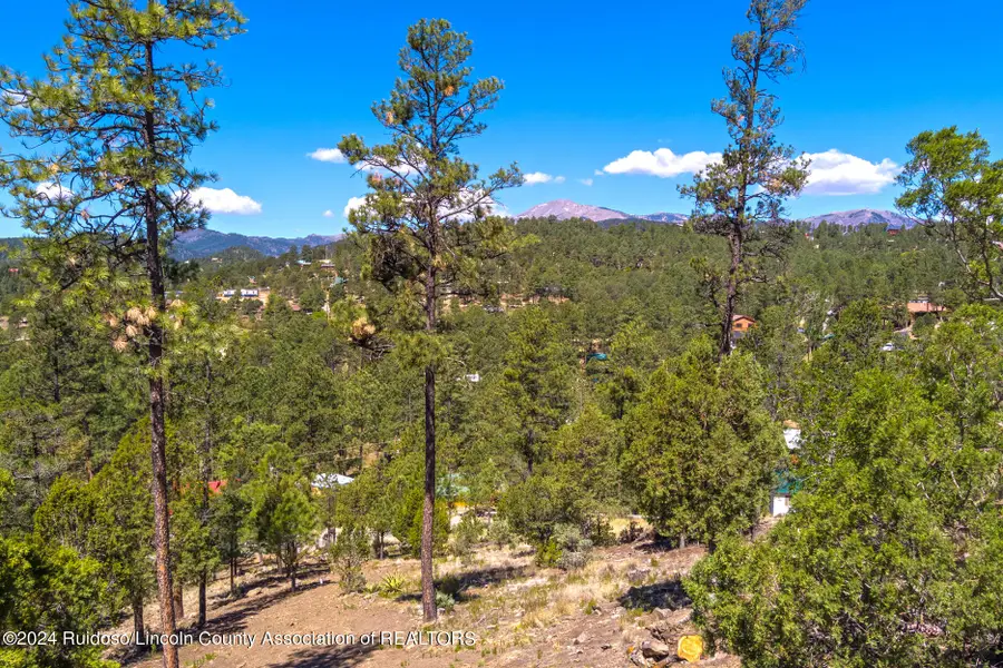 104 Embdy Road, Ruidoso, NM 88345 - Image #2