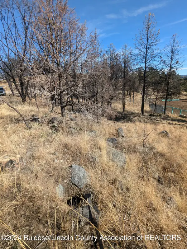 Address Withheld By Seller, Ruidoso, NM 88345