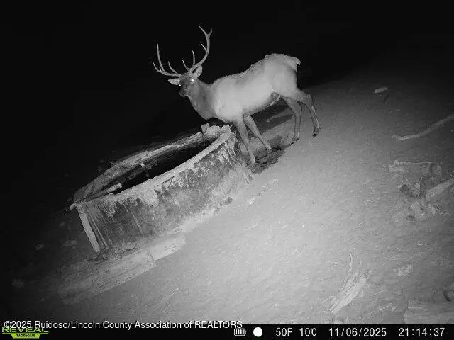 1111 Progresso, Mountainair Encino, NM 87036 - Image #2