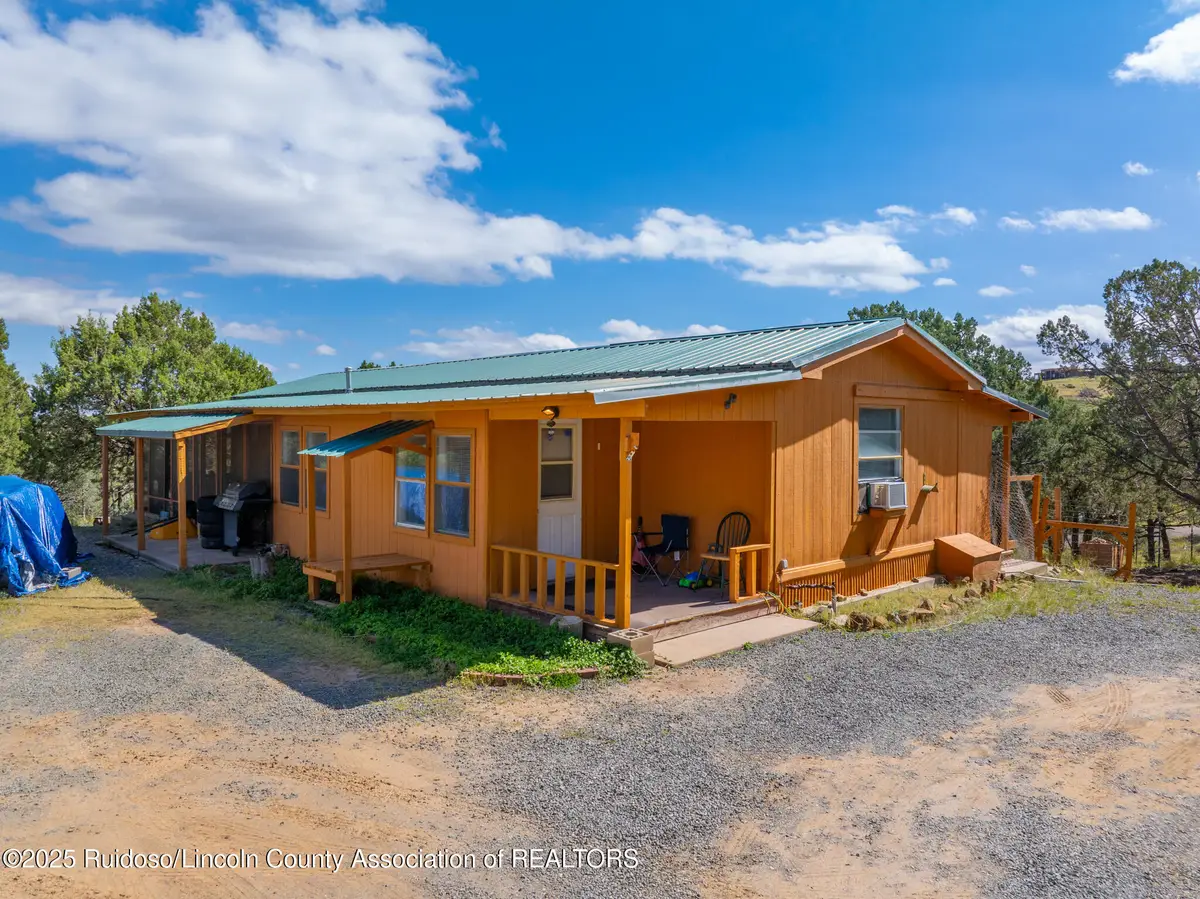 135 Wolf Springs Loop, Nogal, NM 88341 - #1