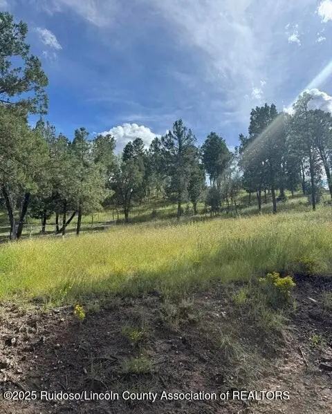 116 Pat Willingham Court, Ruidoso, NM 88345 - Image #1