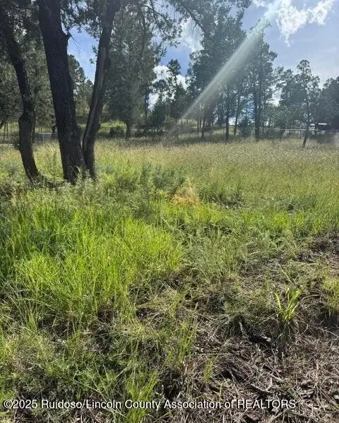 116 Pat Willingham Court, Ruidoso, NM 88345 - Image #2