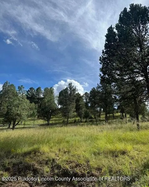 116 Pat Willingham Court, Ruidoso, NM 88345 - Image #3