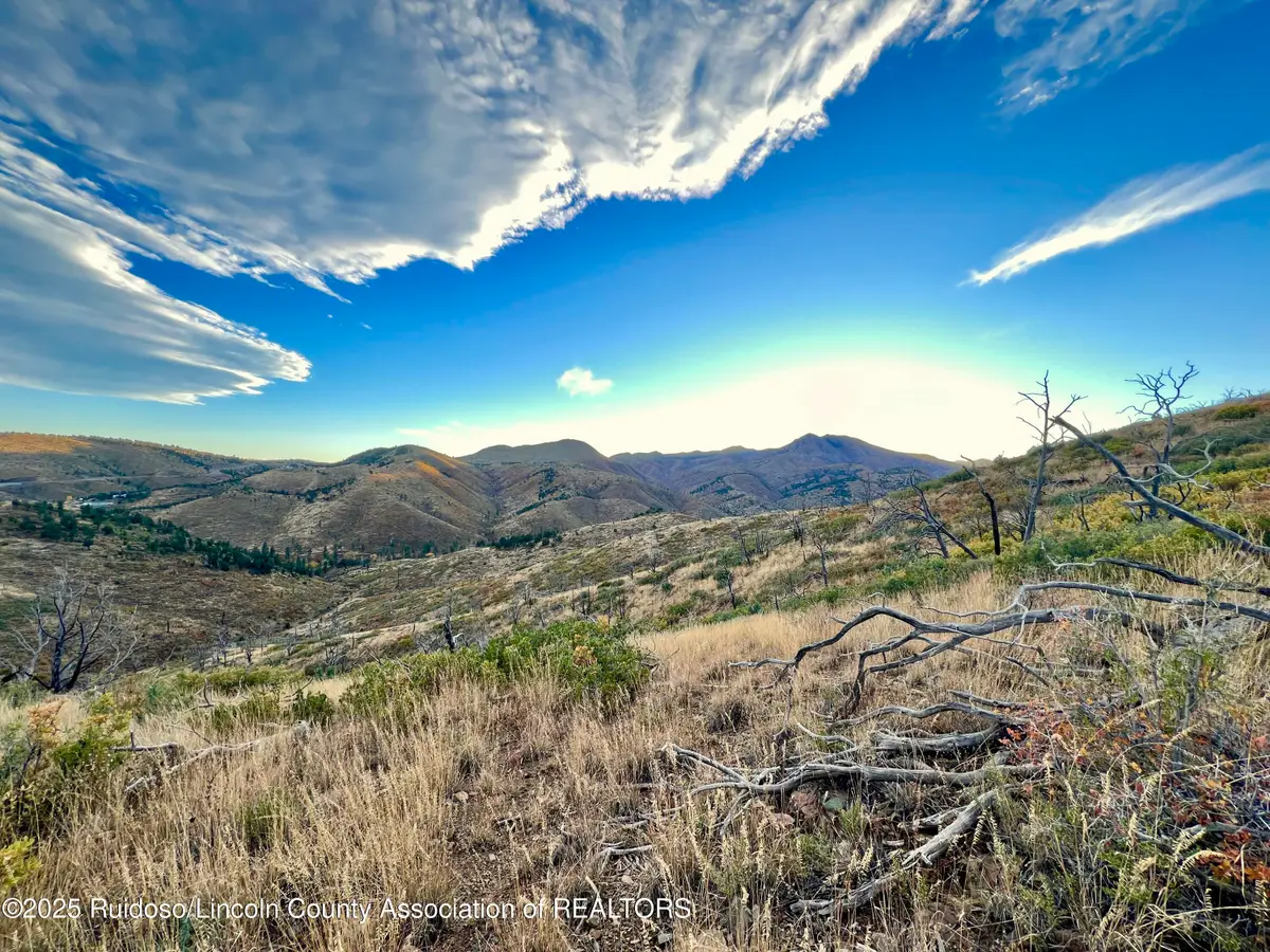 Tract 4/5 Nm Hwy 37, Nogal, NM 88341 - #1
