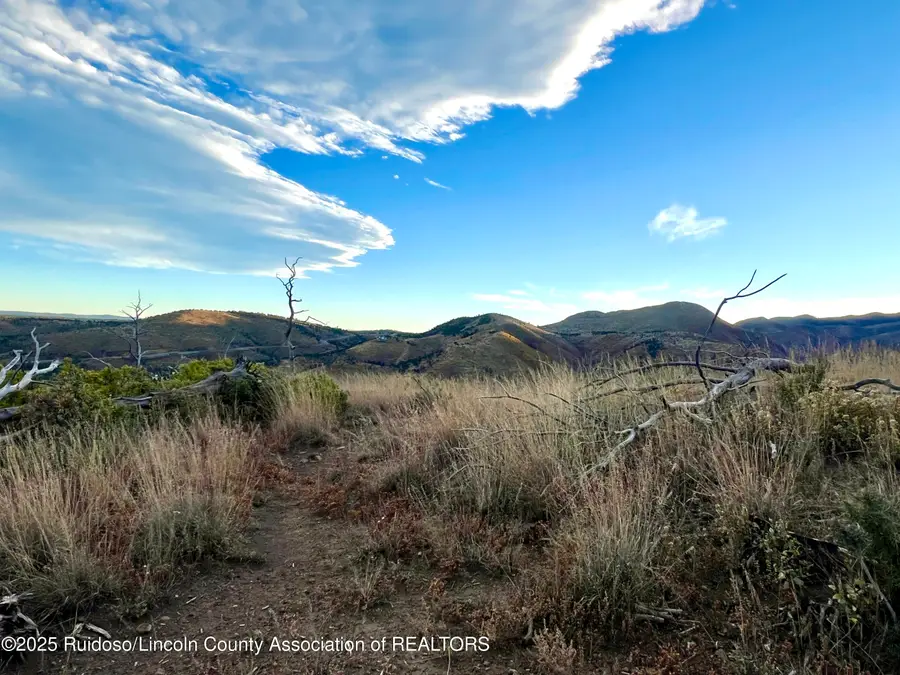 Tract 4/5 Nm Hwy 37, Nogal, NM 88341 - #2