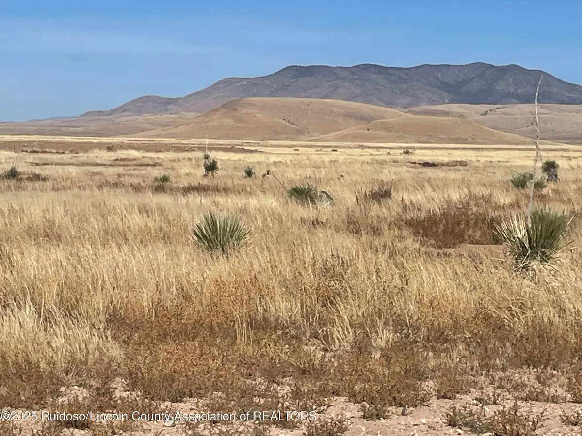 206 Shadow Mountain Rnch Road, Carrizozo, NM 88301 - Image #1