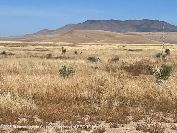 206 Shadow Mountain Rnch Road, Carrizozo, NM 88301