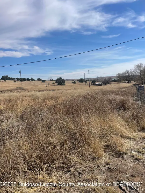 109 Salado Drive, Capitan, NM 88316