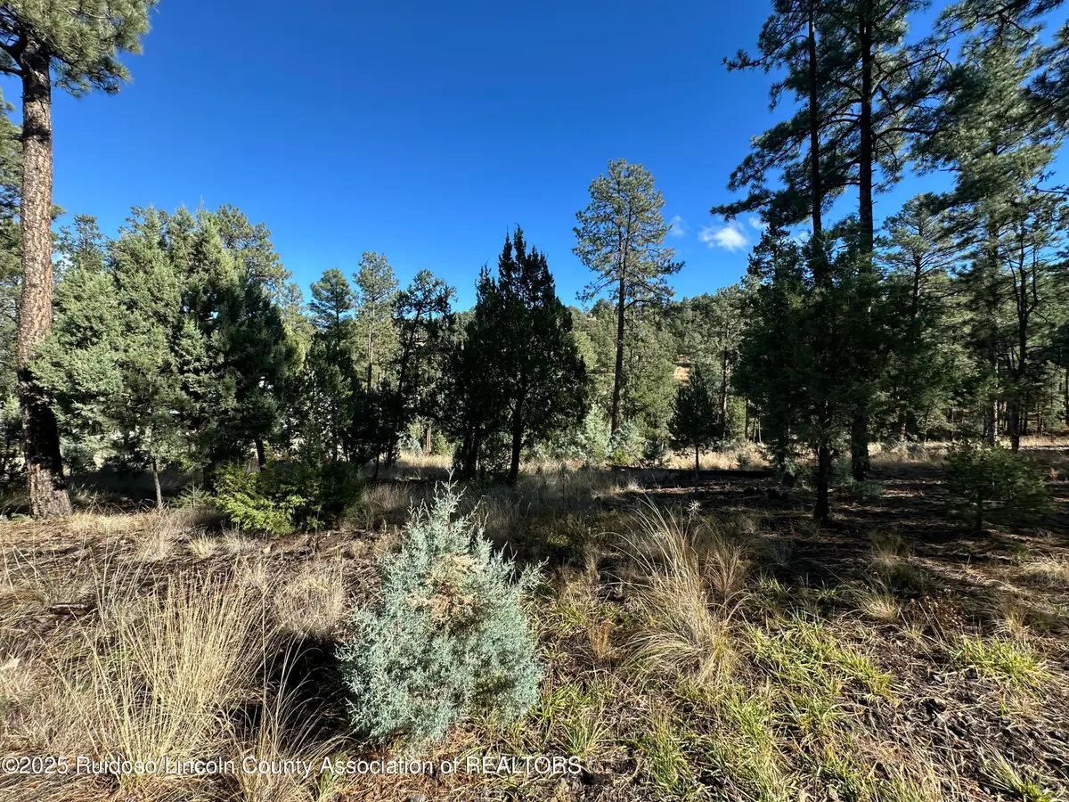 Lot 152 Del Monte Drive, Alto, NM 88312 - Image #1