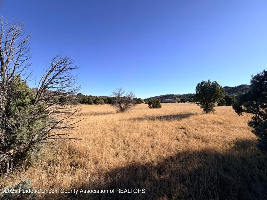 270A Saddleback Road, Alto, NM 88312 - Image #2
