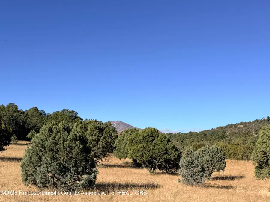 270A Saddleback Road, Alto, NM 88312 - Image #3