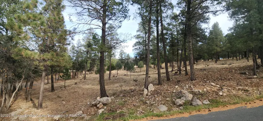 301 Excalibur Road, Ruidoso, NM 88345 - Image #2