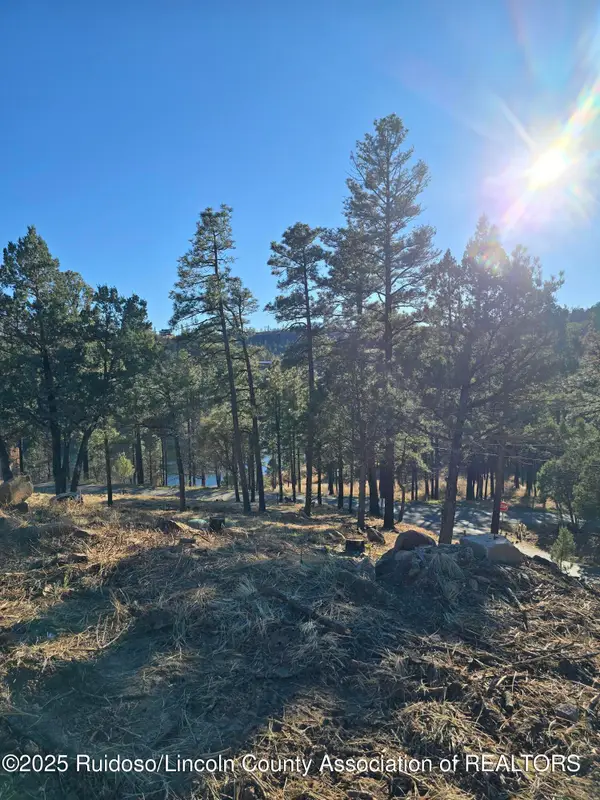 131 Pine Cone Lane, Alto, NM 88312