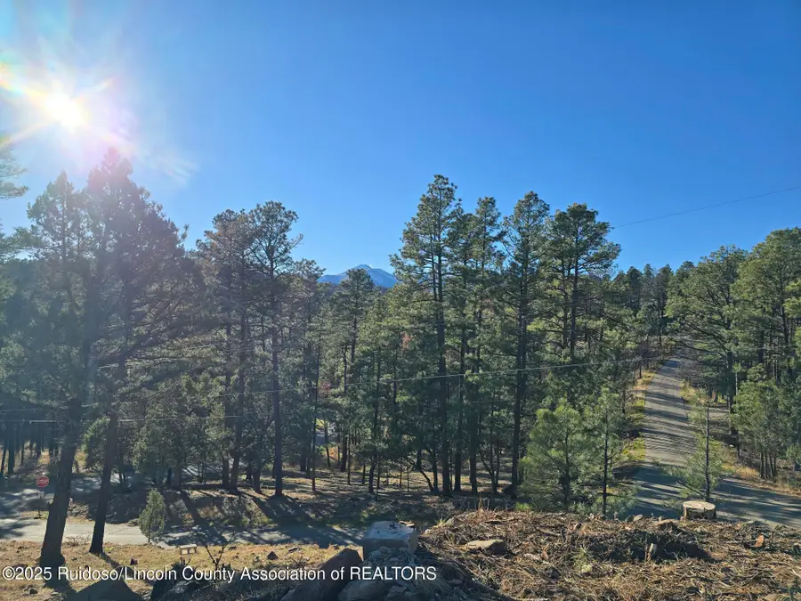 131 Pine Cone Lane, Alto, NM 88312 - Image #2