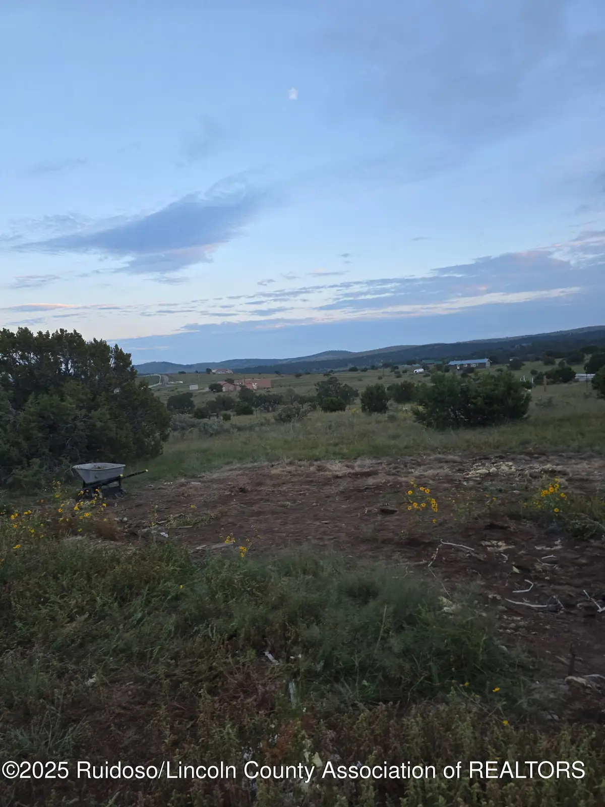 105 Antelope Trail, Nogal, NM 88341 - #1