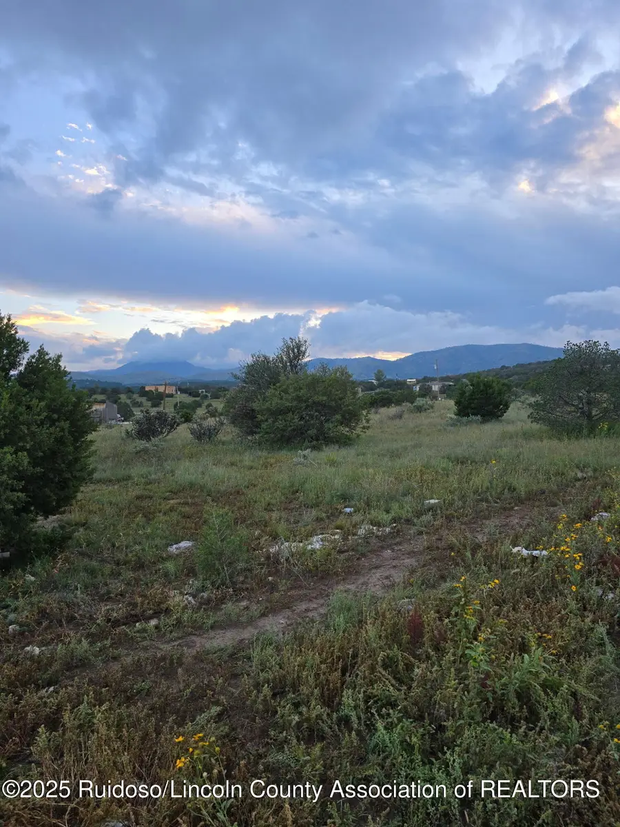 105 Antelope Trail, Nogal, NM 88341 - #2