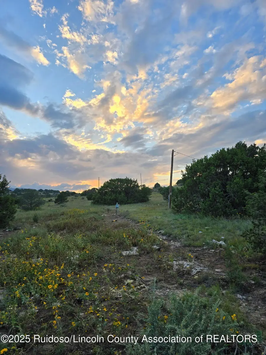 105 Antelope Trail, Nogal, NM 88341 - #3