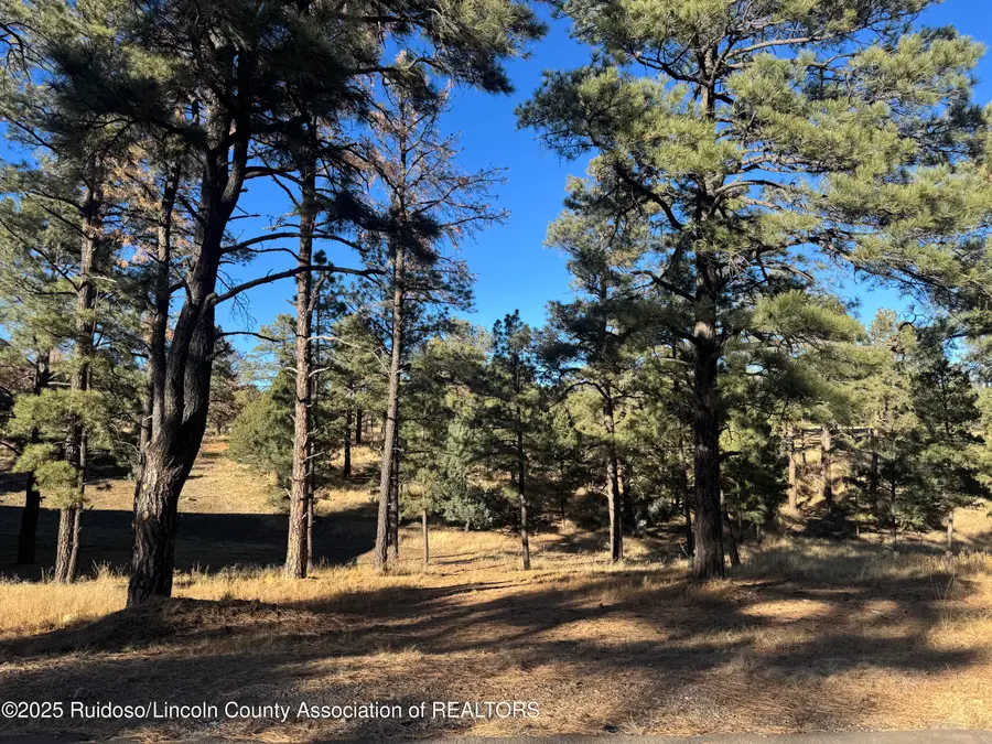 123 Walter Hagen Drive, Alto, NM 88312 - Image #2