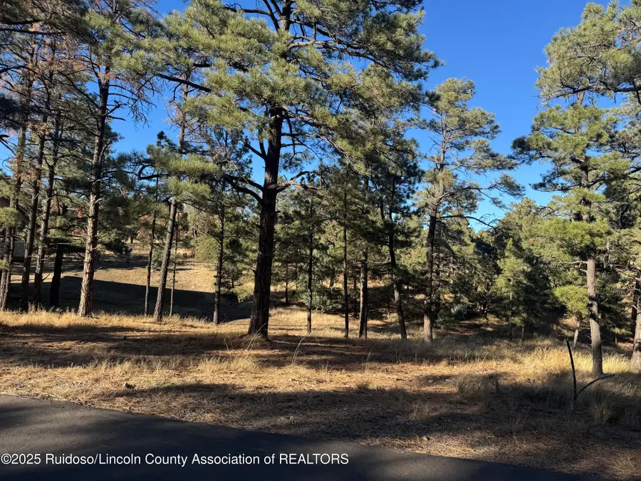 123 Walter Hagen Drive, Alto, NM 88312 - Image #3