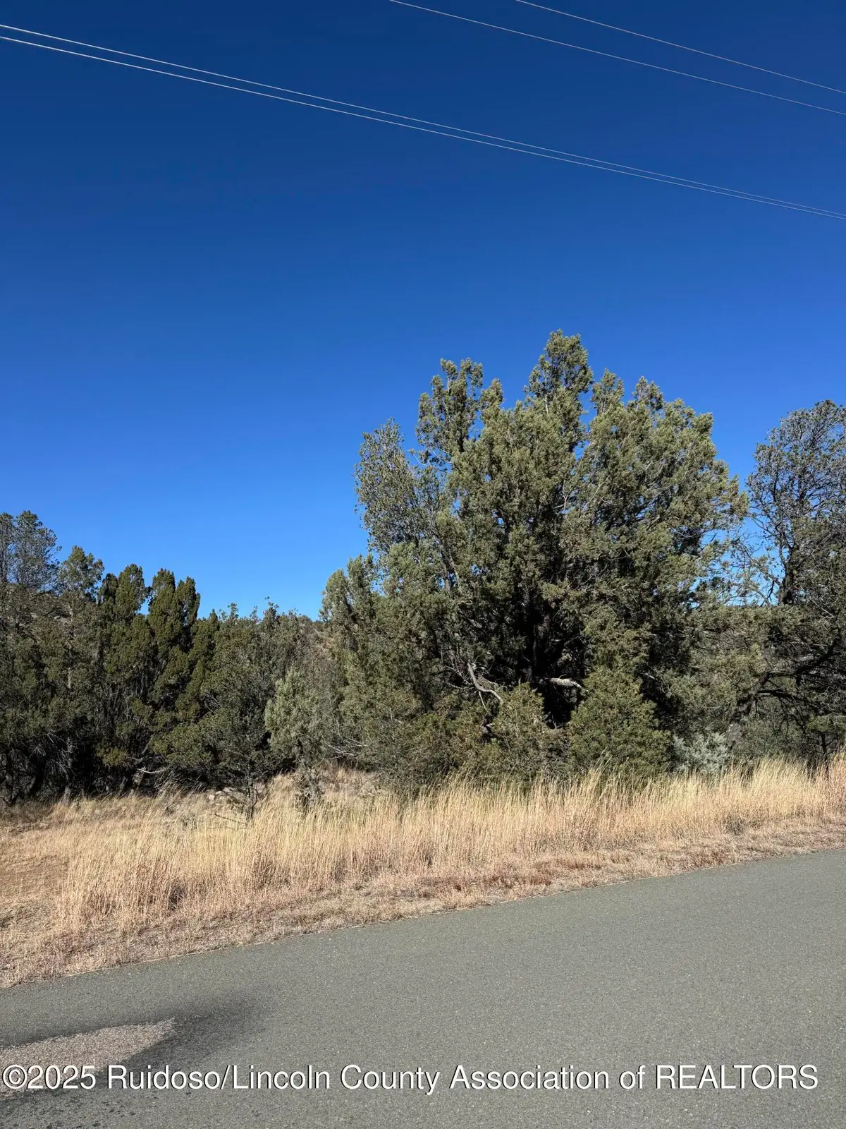 L310 Santiago Circle, Alto, NM 88312 - Image #1