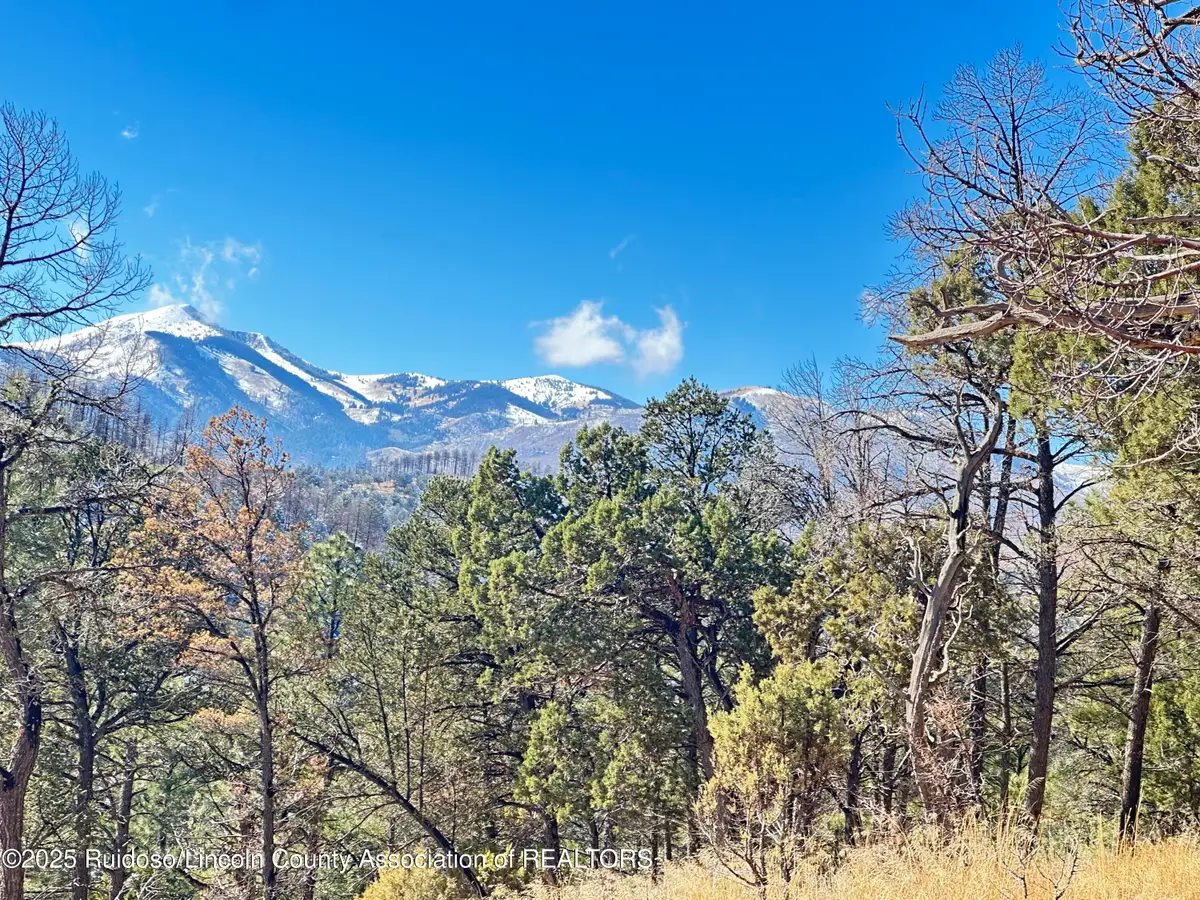 297 Lake Shore Dr., Alto, NM 88312 - Image #1