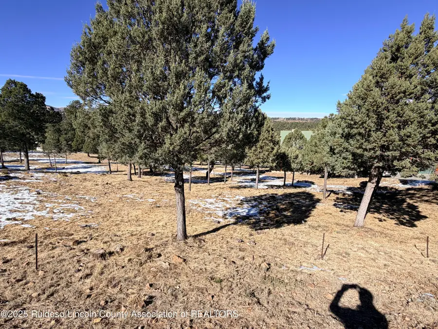 205 Timberline Place, Ruidoso, NM 88345 - Image #3