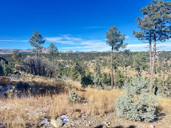 000 El Camino, Alto, NM 88312