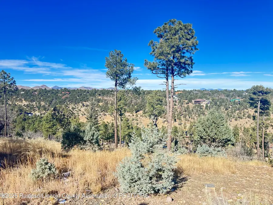 000 El Camino, Alto, NM 88312 - Image #2